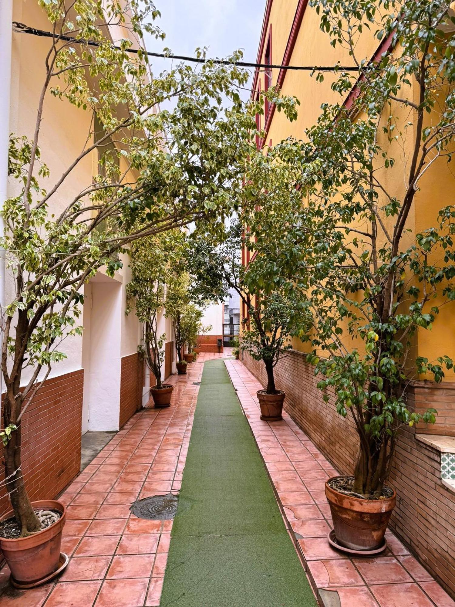 Duplex - Terraza Solarium - Alameda De Hercules * Séville