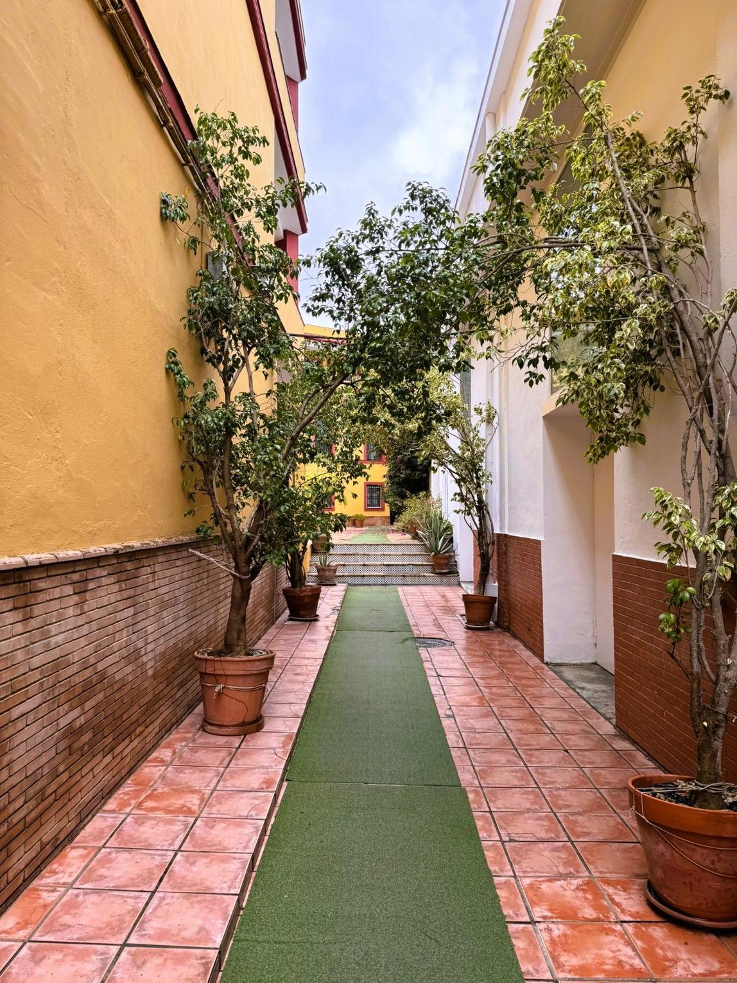 Duplex - Terraza Solarium - Alameda De Hercules * Séville